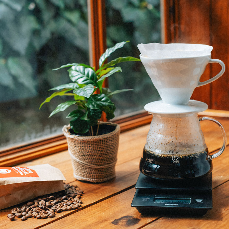 HARIO – Dripper V60 02 in Ceramica – Bianco