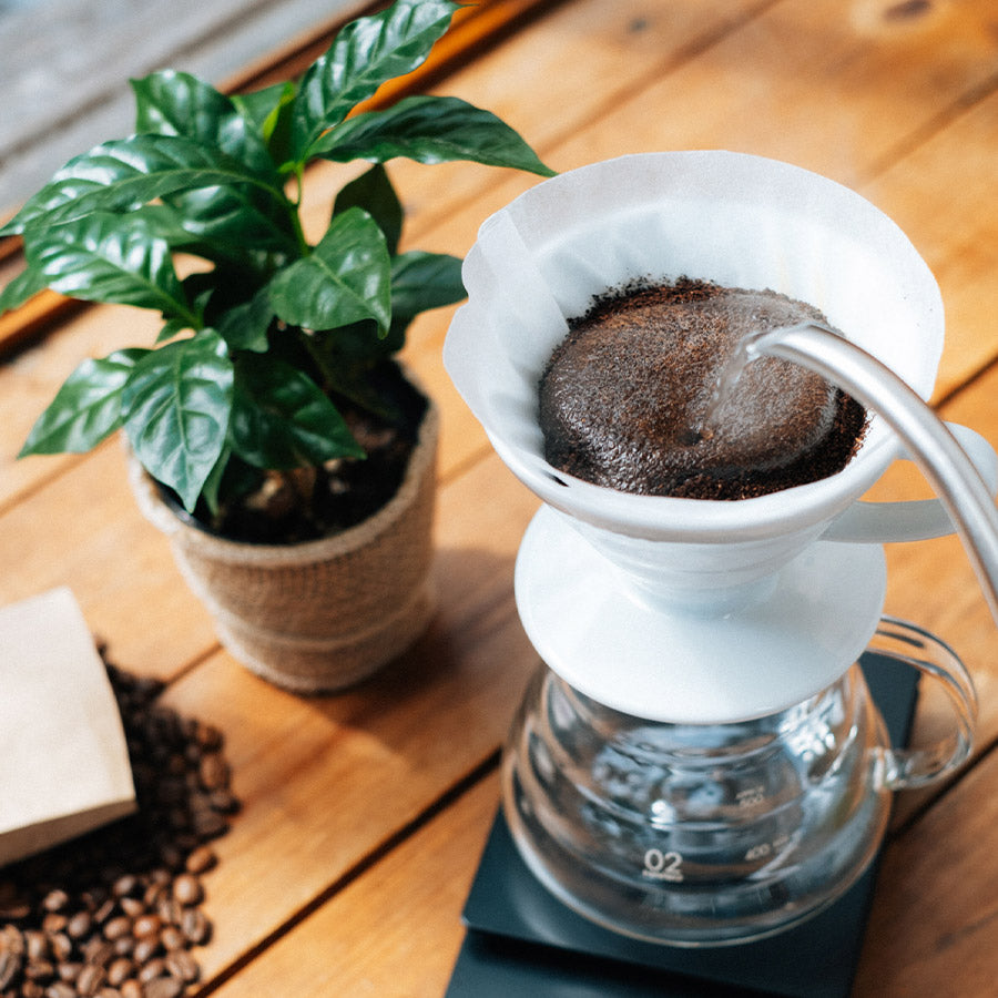 HARIO – Dripper V60 02 in Ceramica – Bianco