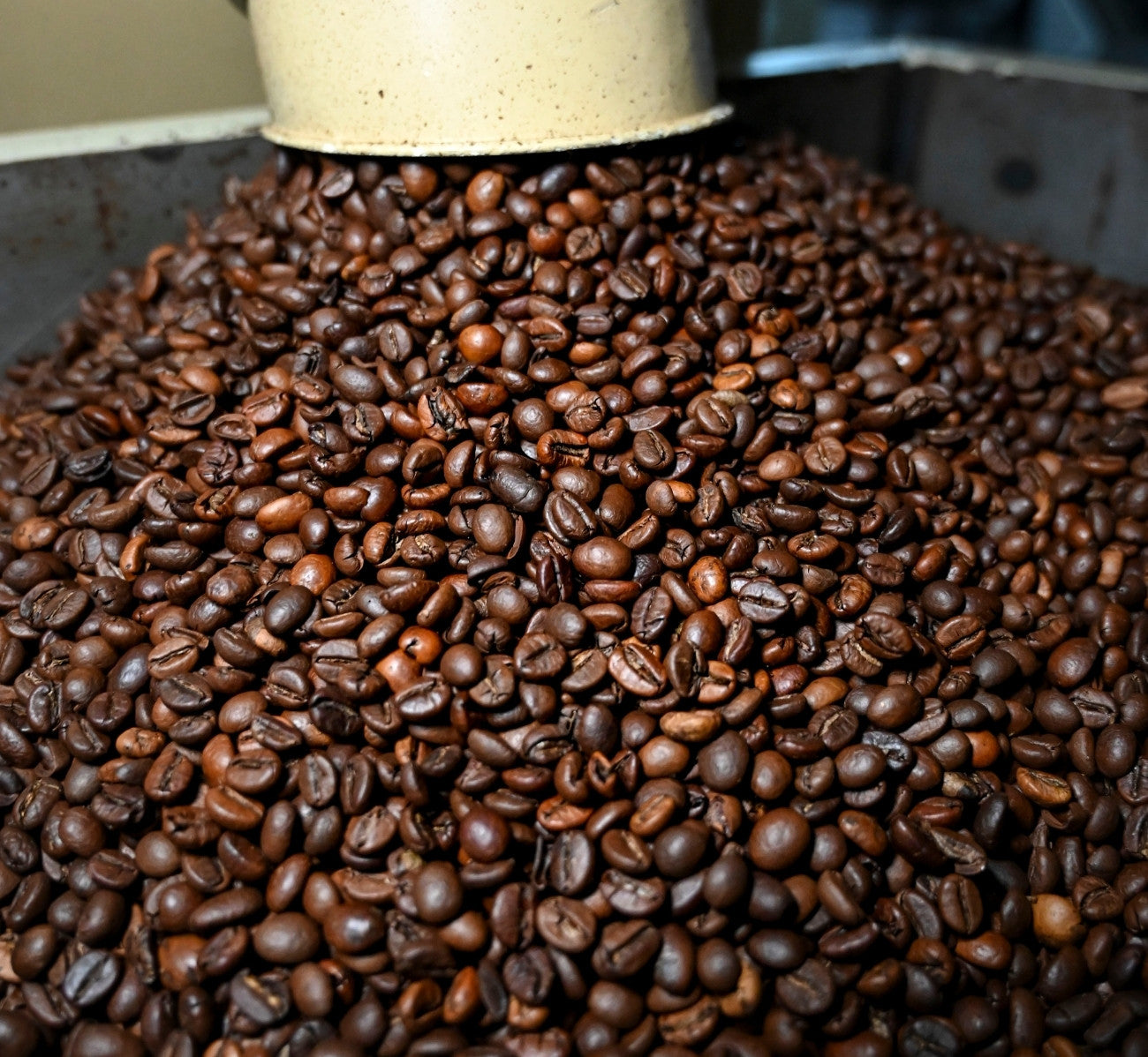 REGENT BLU – Decaffeinato in Grani 250g