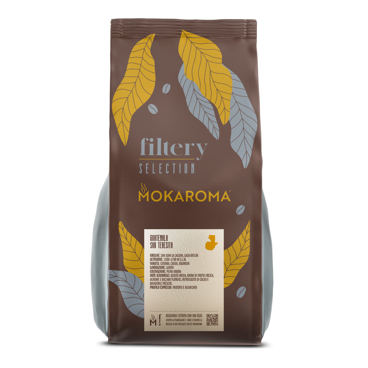Filtery Selection – Monorigine Guatemala